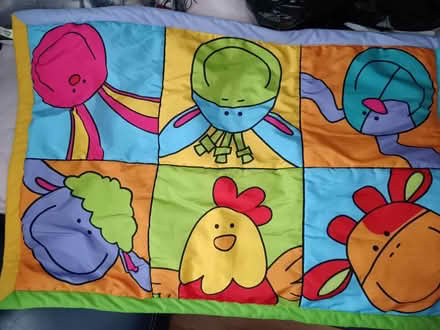 Photo of free Play mat (West bromwich) #2