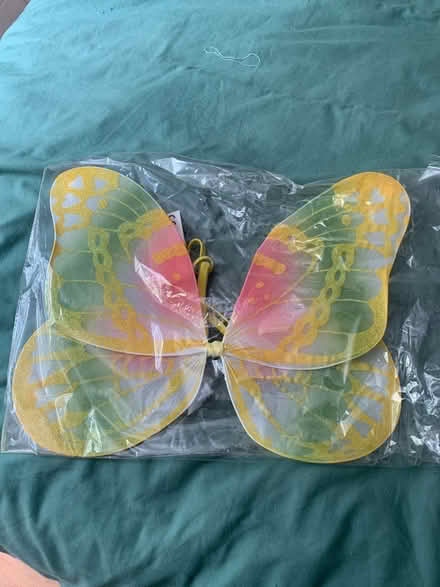 Photo of free Fairy wings (Nottingham, NG7) #1