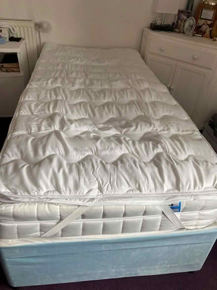 Photo of free mattress Topper Single (Buckland TQ12) #1