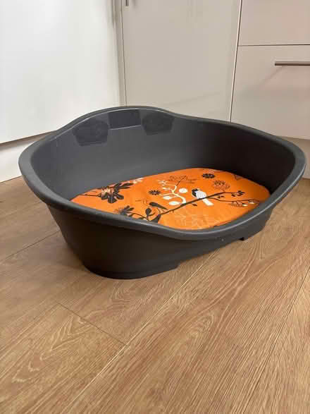 Photo of free Large dog bed (Broomgrove TN34) #2