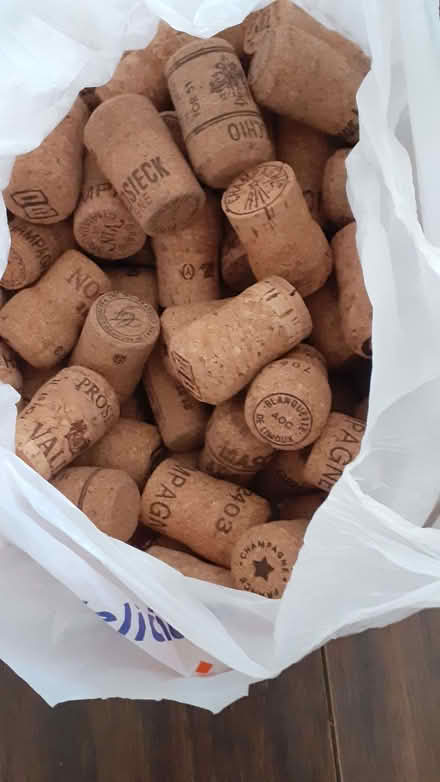 Photo of free Bag of corks (Portslade by Sea BN41) #1