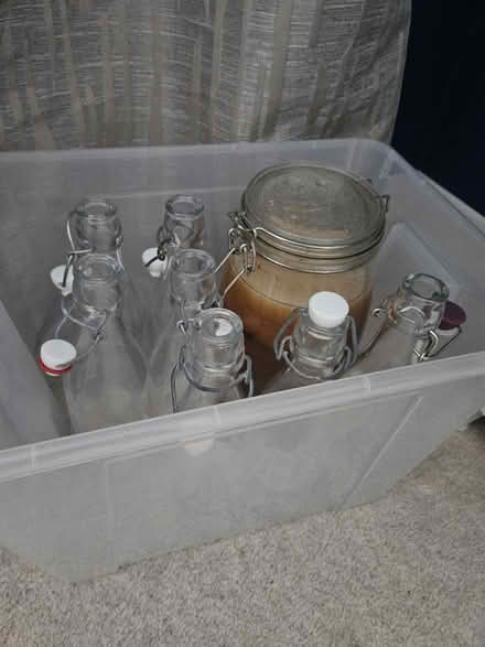 Photo of free Kombutcha kit (SL6 maidenhead) #1