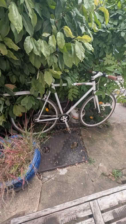 Photo of free Riddick fixie bike RD103 (NW3 London) #2