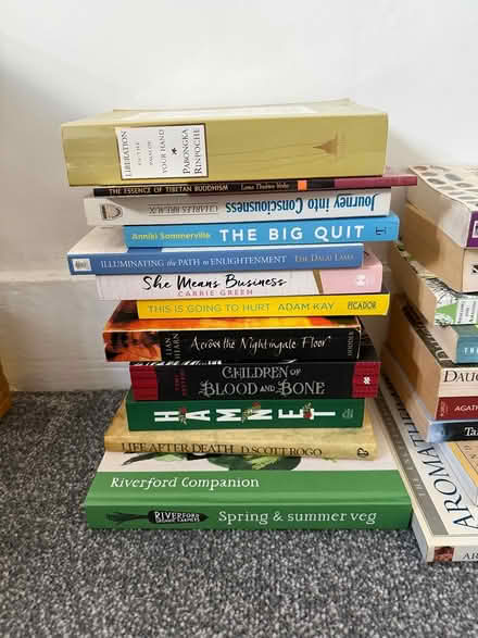 Photo of free Good books (West hill Dartford) #2