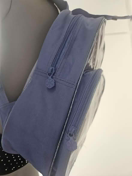 Photo of free Frozen Elsa Bagpack (Hall green) #3