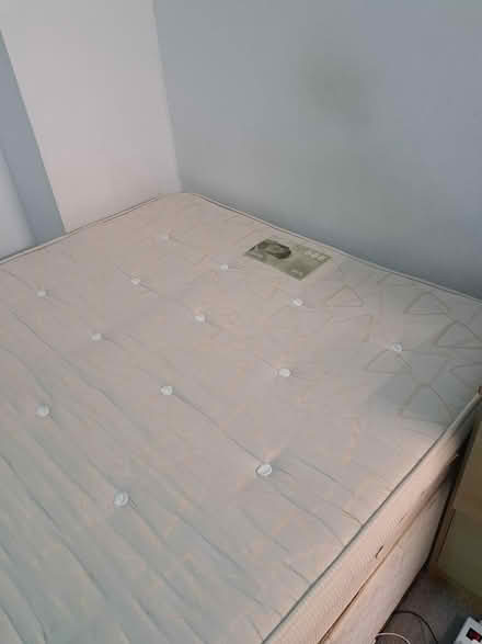 Photo of free Double Bed (Southwark) #1