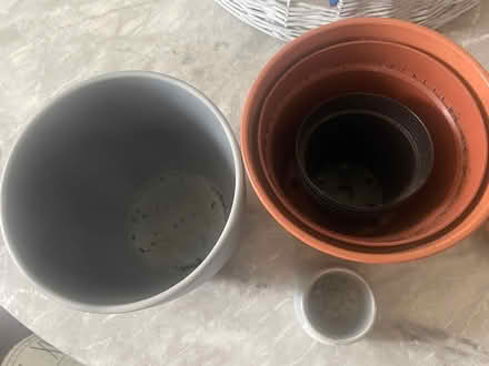 Photo of free Plant pots (Lady Bay NG2) #2