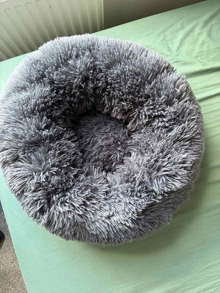 Photo of free Cat Bed (West hill Dartford) #2