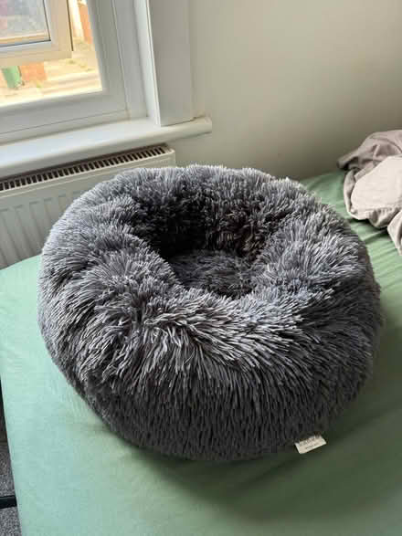 Photo of free Cat Bed (West hill Dartford) #1
