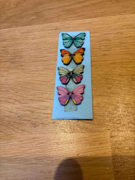 Photo of free Butterfly buttons (Widcombe) #1