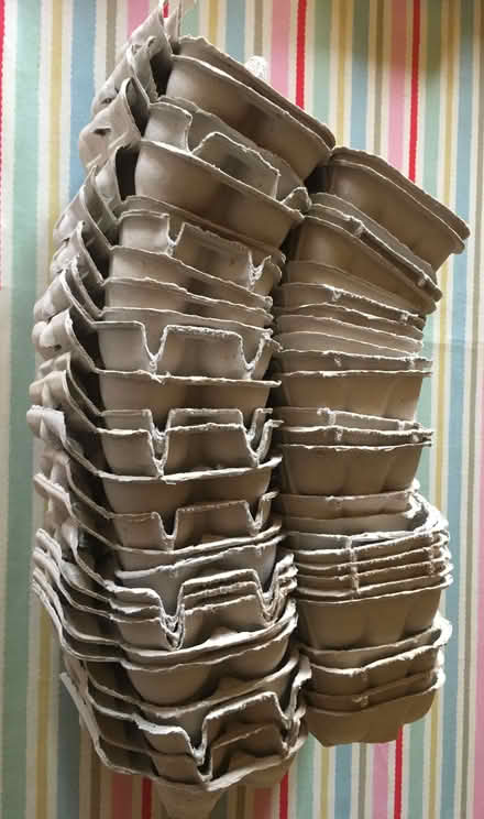 Photo of free Egg boxes (Scotton HG5) #1