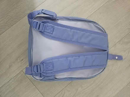 Photo of free Frozen Elsa Bagpack (Hall green) #4