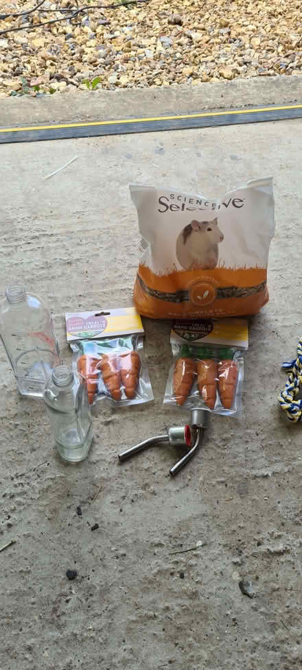 Photo of free Large animal cage and accessories for small pets (Binfield Heath RG9) #4