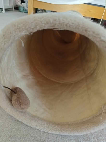 Photo of free Cat tunnel (Wimbledon SW19) #2