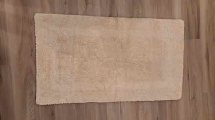Photo of free bath rug (Off of Rt 206 and Triangle Rd) #1