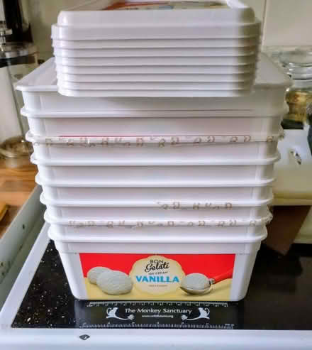 Photo of free Empty Ice Cream Containers useful storage (Union Park TR11) #1