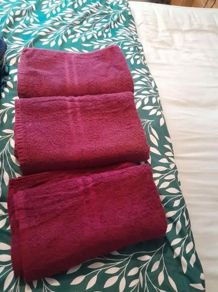 Photo of free Towels (Manor Top S2) #2