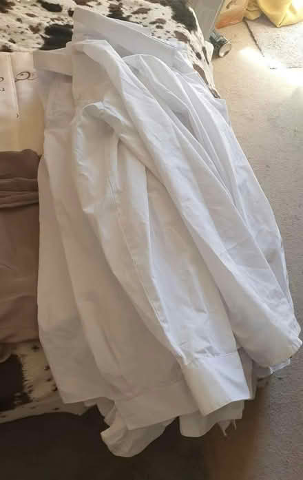 Photo of free School shirts 15/16 yr old (Preston Road BN1 6) #1