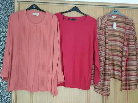 Photo of free Ladies clothes (St Leonards-on-sea TN38) #3