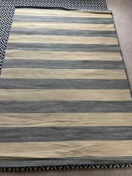 Photo of free Ikea Vrensted rug (West Bridgford NG2) #1