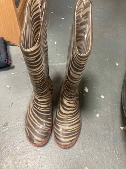 Photo of free Child size 13 wellies (Greasby CH49) #1