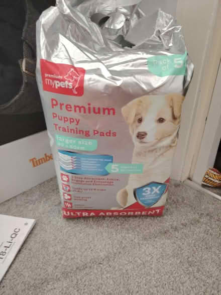Photo of free Puppy training pads (Arlesey) #1