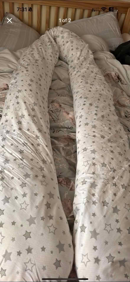 Photo of free Pregnancy pillow (Sheffield S2) #1