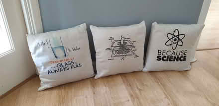 Photo of free Science Cushions (Shefford Hardwick SG17) #1