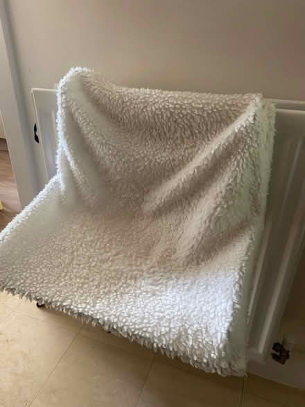 Photo of free Cat radiator bed (Horley RH6) #1