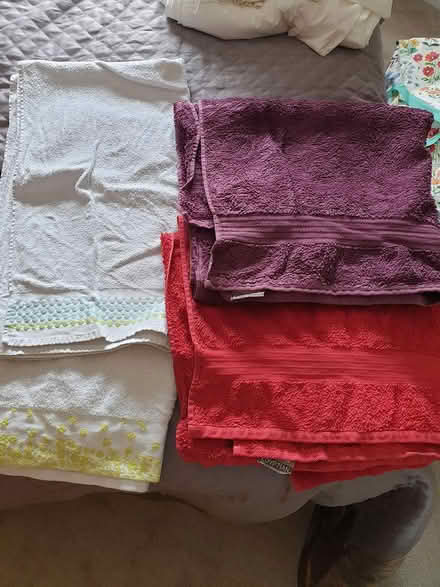 Photo of free Towels and sheet (St Leonards-on-sea TN38) #1