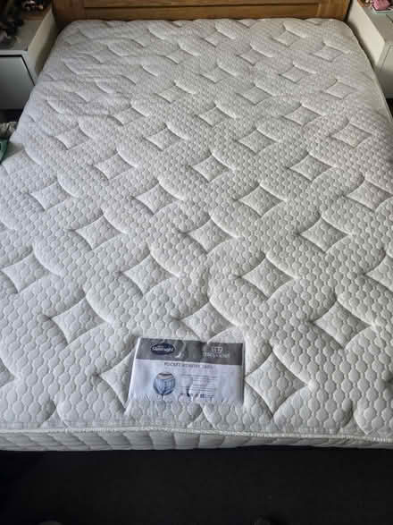 Photo of free King size silent night matress (CR8) #2