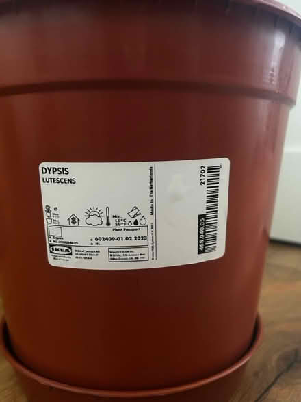 Photo of free Indoor plant (Clondalkin) #3