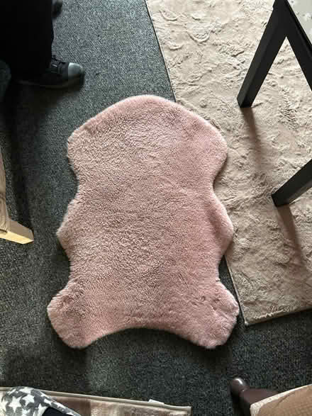 Photo of free Faux fur rug (Arbourthorne S2) #2
