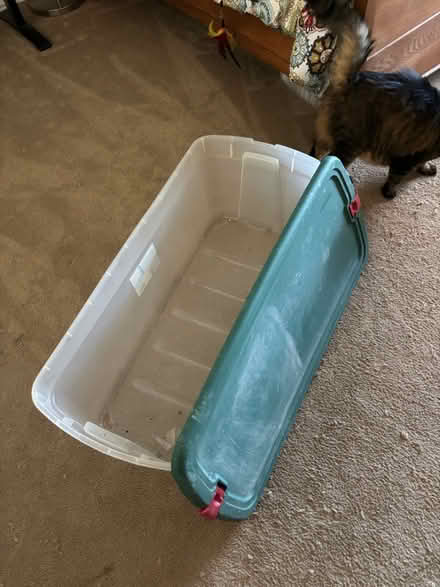 Photo of free Large storage container (Cambrian areA) #3