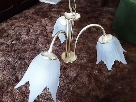 Photo of free Gold Pendant Light Fixture (Ainsdale PR8) #1