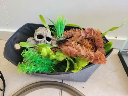 Photo of free Fish tank (Upper Patten) #2