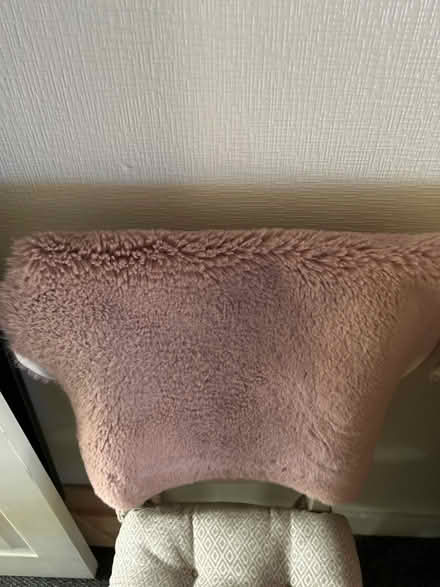 Photo of free Faux fur rug (Arbourthorne S2) #1
