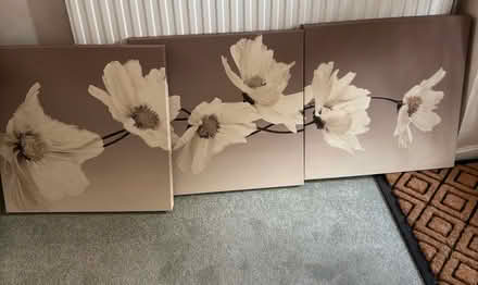 Photo of free Wall Art (Cippenham SL1) #1