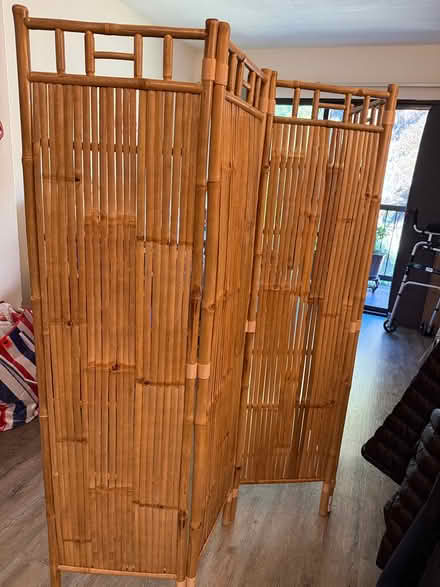 Photo of free Bamboo screen (North point) #1