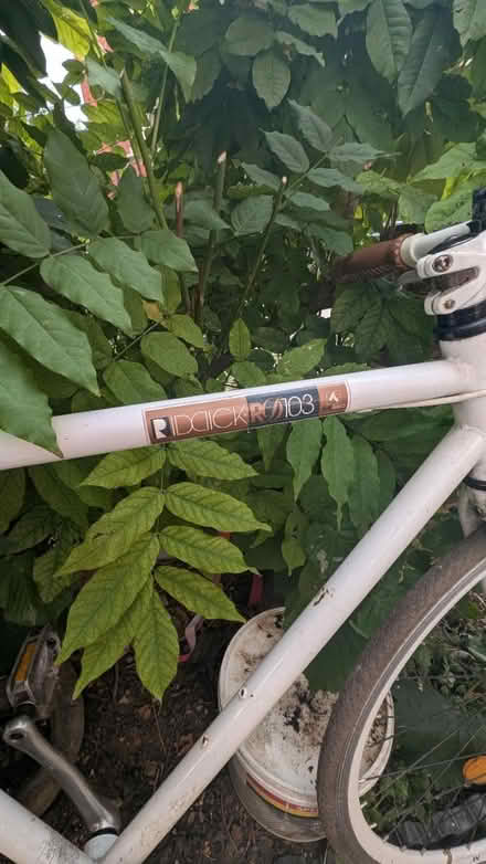 Photo of free Riddick fixie bike RD103 (NW3 London) #1