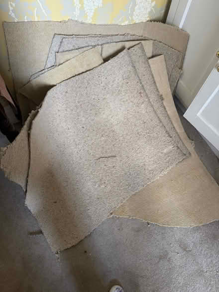 Photo of free Off cut carpet for allotments (Berkhamsted HP4) #1