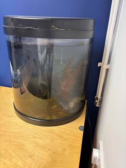Photo of free Fish tank with 1 remaining fish (Hagley Park DY9) #1