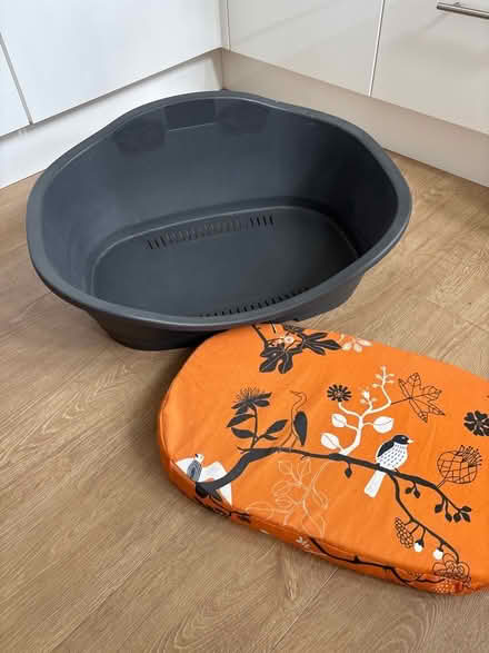 Photo of free Large dog bed (Broomgrove TN34) #3
