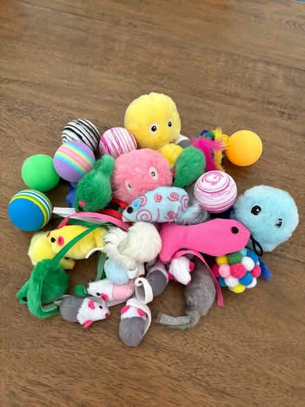 Photo of free Selection of cat toys (Surbiton KT6) #1