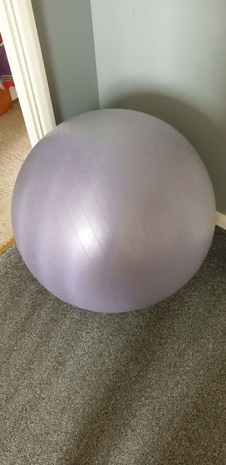 Photo of free Exercise Ball (Shefford Hardwick SG17) #1