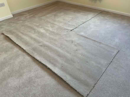 Photo of free Large carpet off-cut (Riverside B98) #2