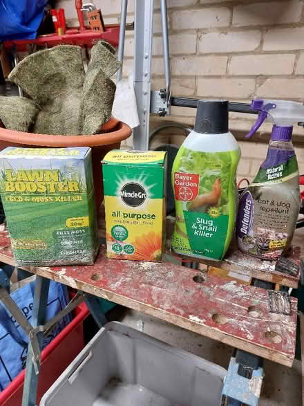 Photo of free Gardening Stuff (North Tonbridge TN10) #1