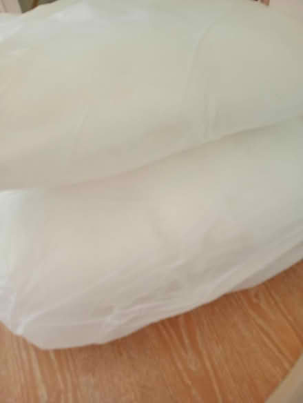 Photo of free Two Cushion Pads (Temple Cowley OX4) #1