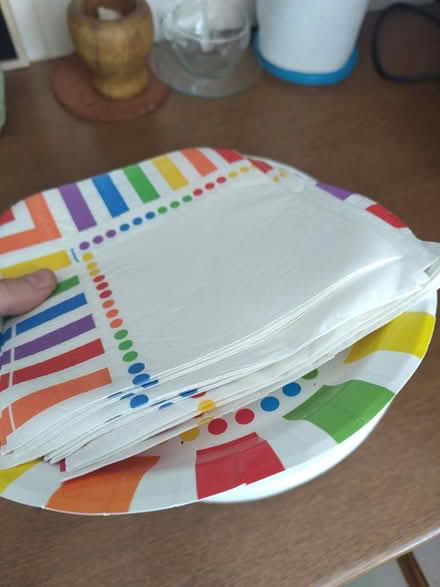 Photo of free Paper plates (IG11 Barking) #3