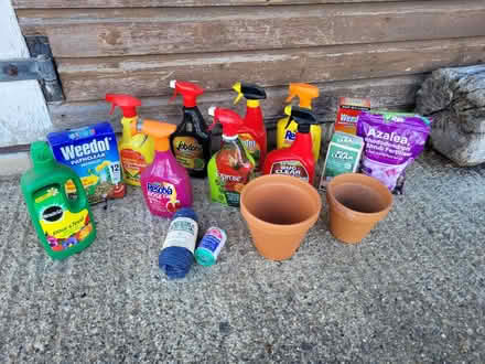 Photo of free Garden products (Wimborne,Colehill) #1